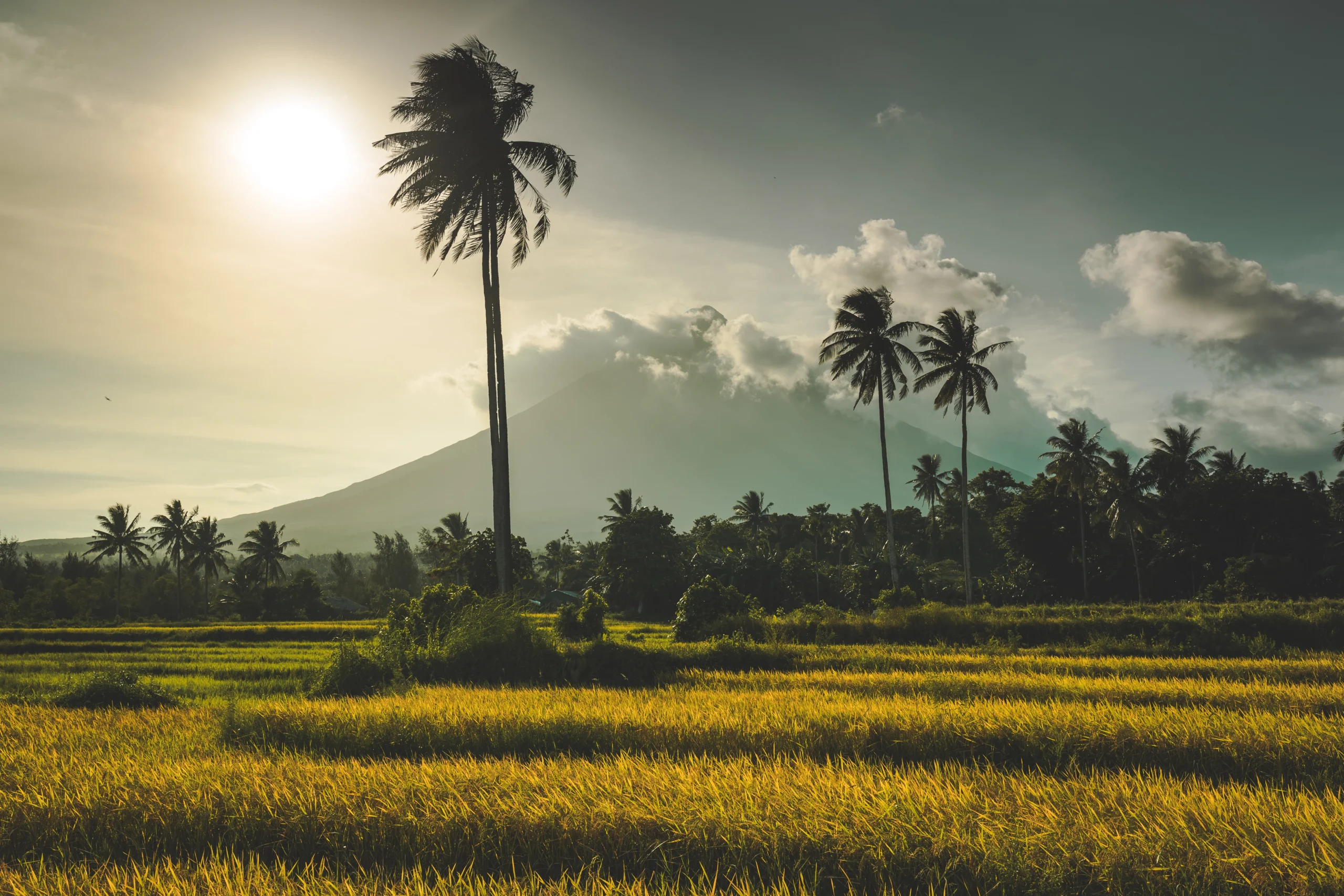 7 Destinasi Wisata Sleman dengan View Gunung Merapi